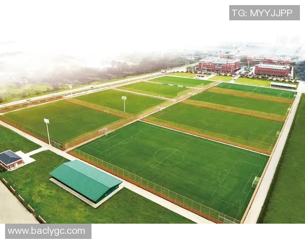 聚焦武汉足球队近期状态分析与未来展望