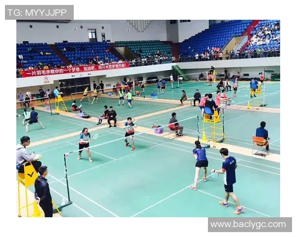 西安羽毛球队在全国羽毛球耐力排行榜中荣获第四名的佳绩分析 西安羽毛球队在全国羽毛球耐力排行榜中荣获第四名的佳绩分析