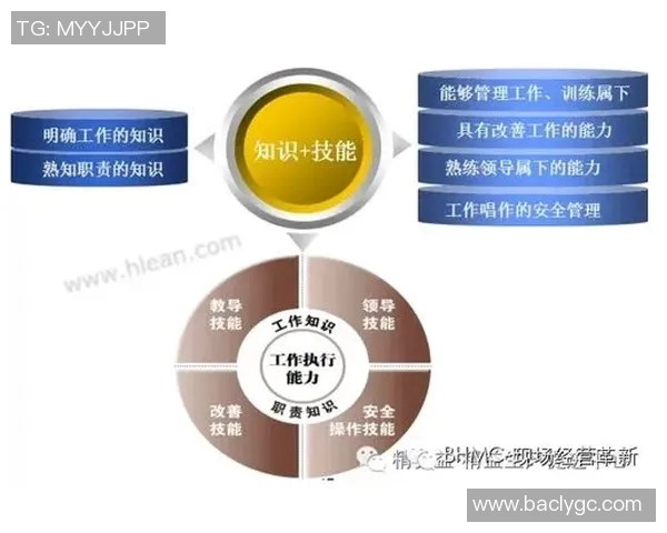 北京排球队的控制革新探索与发展路径分析全景报告