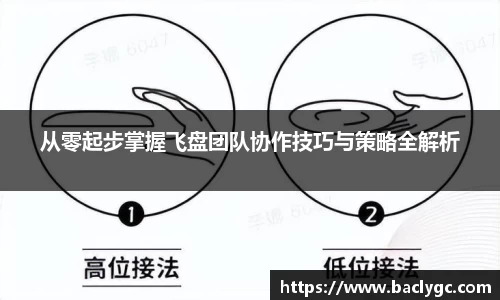 从零起步掌握飞盘团队协作技巧与策略全解析
