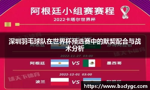 深圳羽毛球队在世界杯预选赛中的默契配合与战术分析