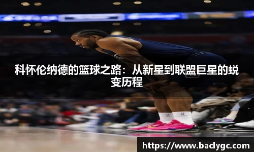 完美体育