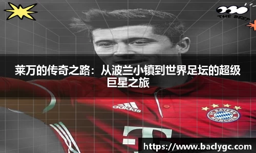 完美体育